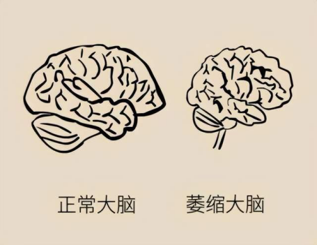 &#24517;&#36194;&#22312;&#32447;&#23458;&#26381;&#45;&#24517;&#36194;&#40;&#20013;&#22269;&#41;